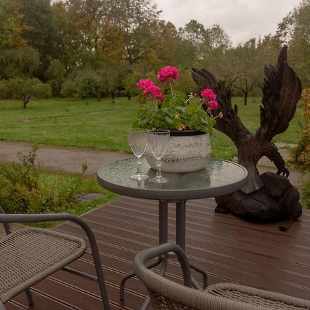Отель Kuelalistemaja Kukruse Residents Кохтла-Ярве Экстерьер фото